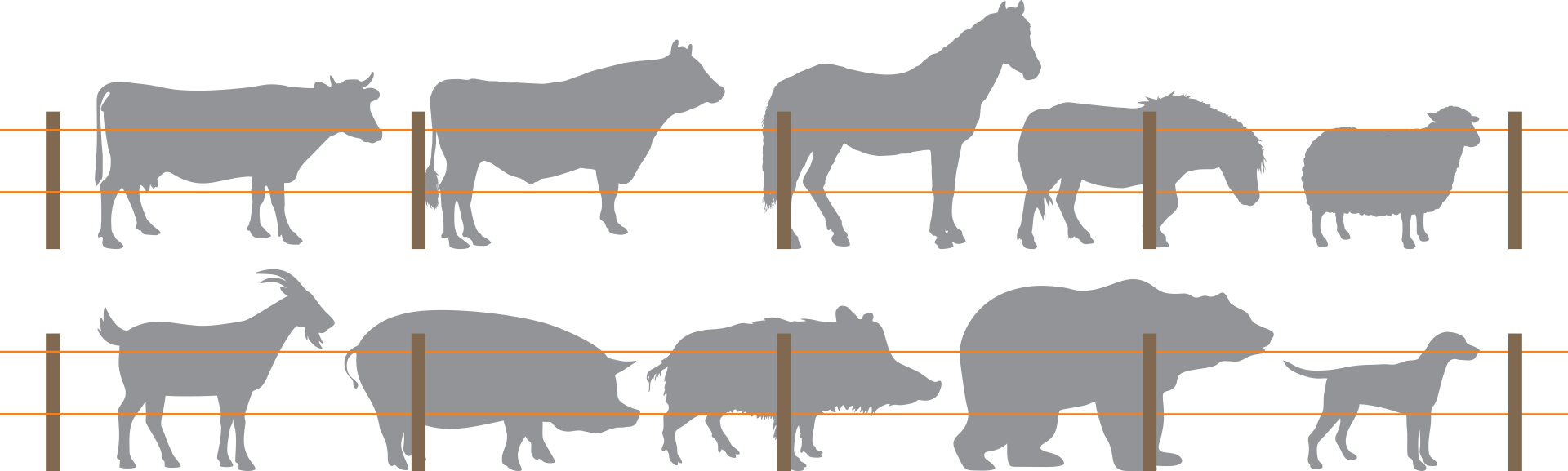 Indicazioni per la realizzazione di recinti elettrici secondo la specie animale