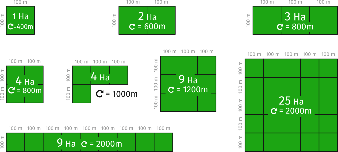 01. surface-circumference-relations