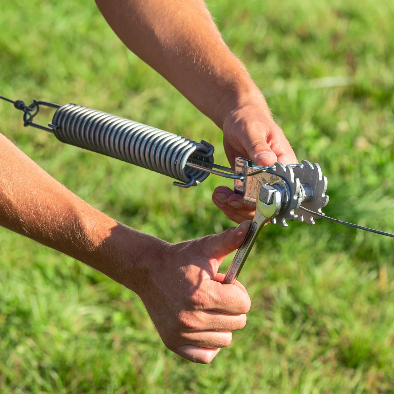 Tenditore a cricchetto per filo recinto elettrico