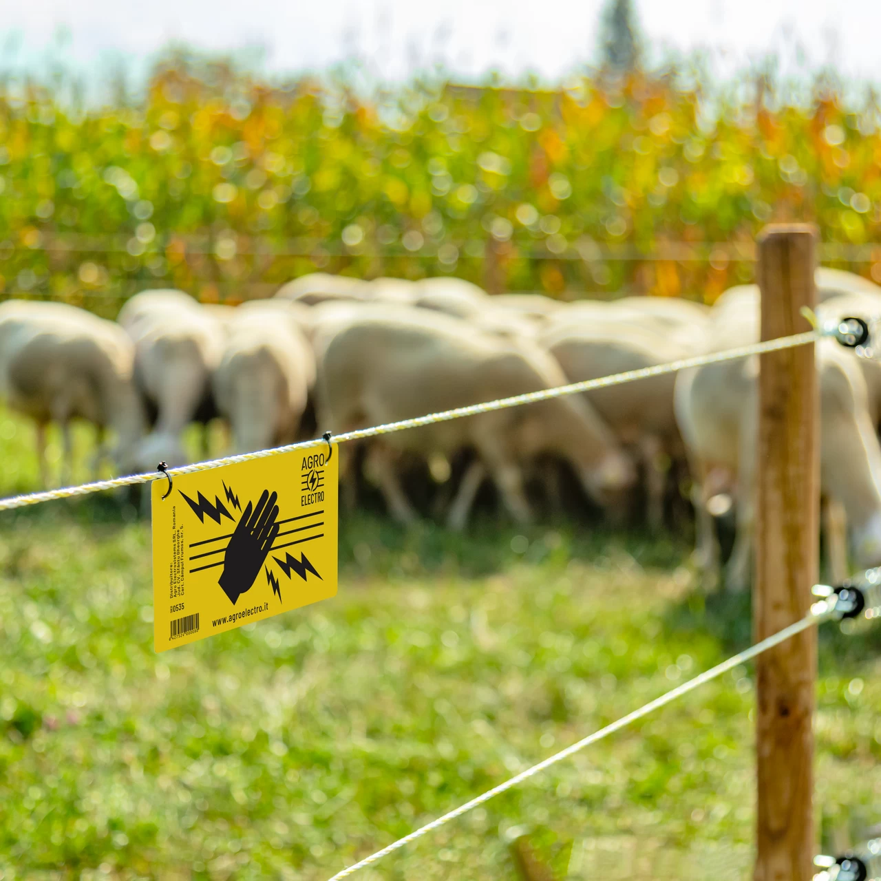 Cartello di avvertimento