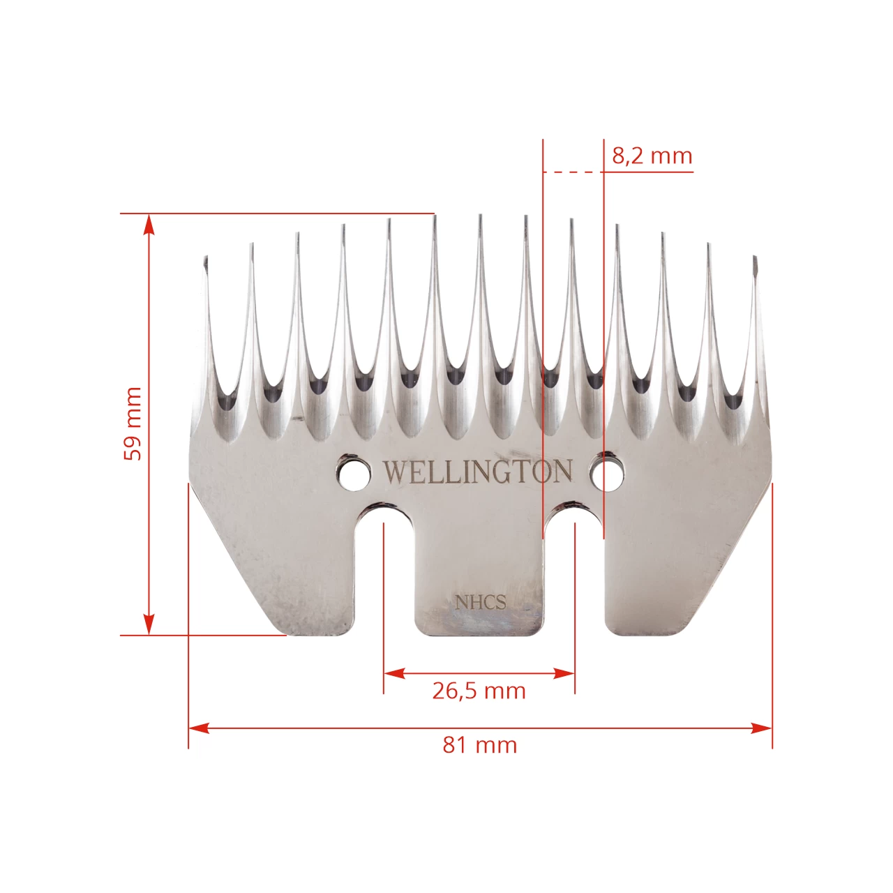 Testina inferiore Wellington, 13 denti