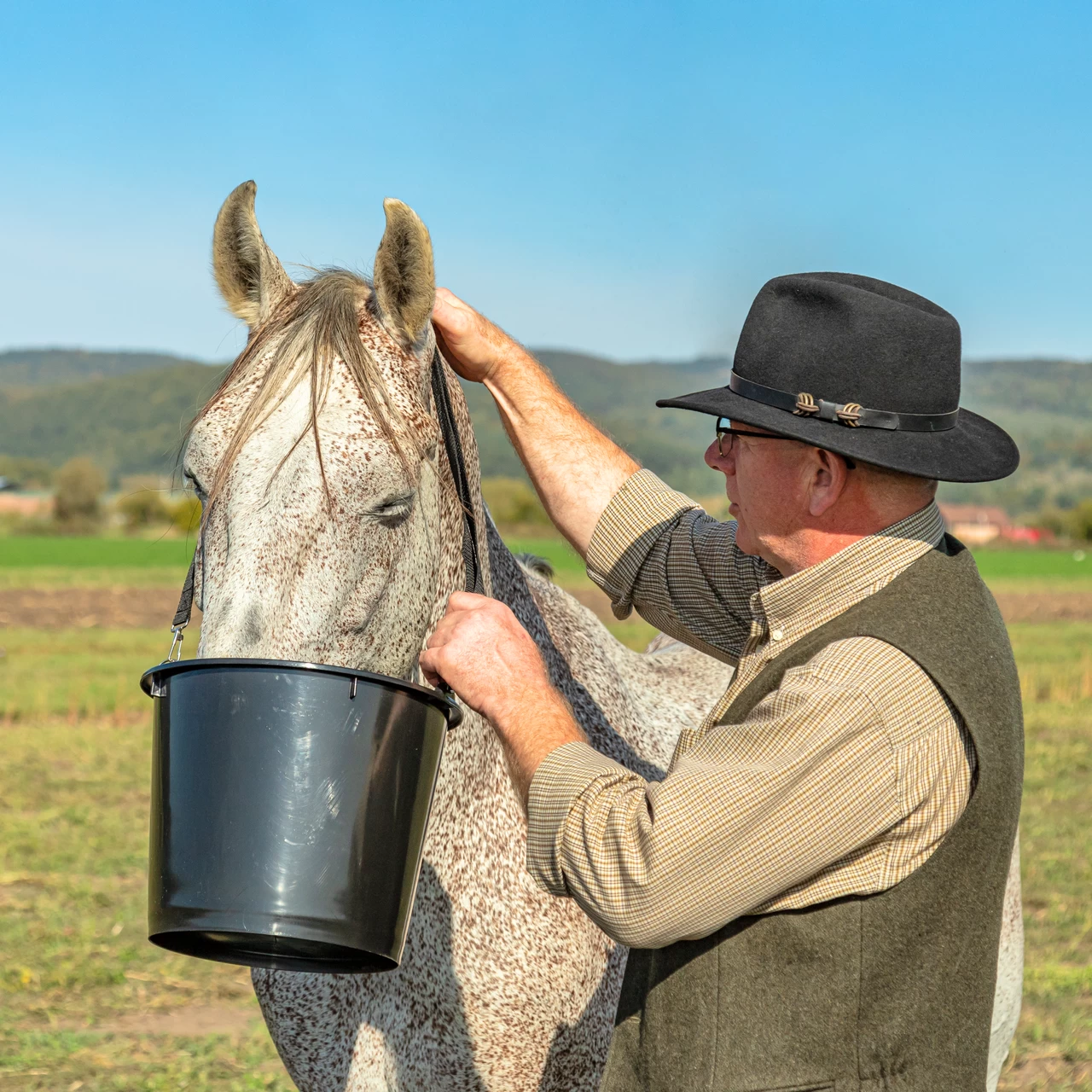 Secchio d'alimentazione per cavalli, 12 l