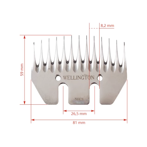 Testina inferiore Wellington, 13 denti