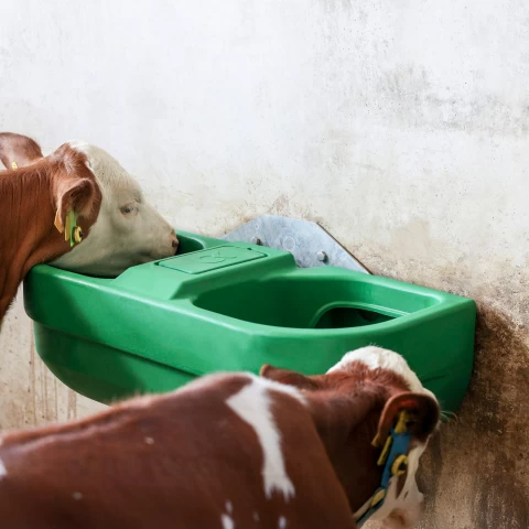 Abbeveratoio doppio in plastica, a livello costante, 58 litri